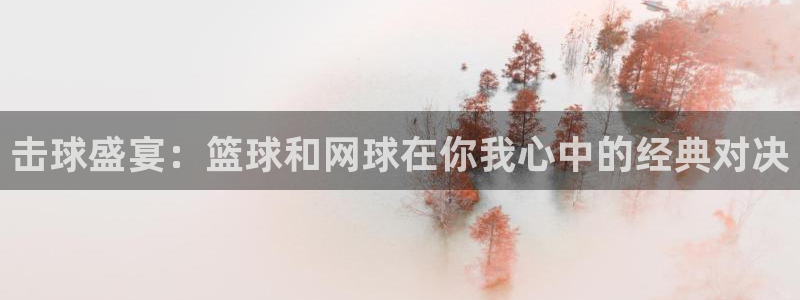 od体育平台登陆：击球盛宴：篮球和网球在你我心中的经典对决