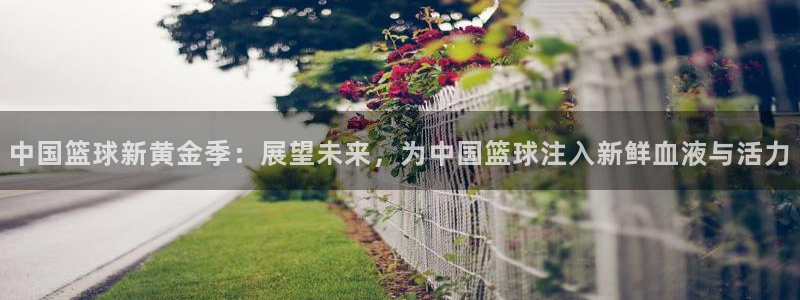 od体育官网登录：中国篮球新黄金季：展望未来，为中国篮球注入